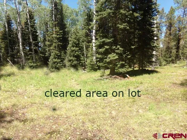 185 Aspen Trail Cimarron, CO 81220