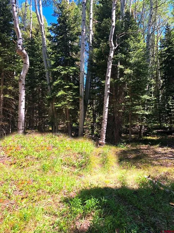 185 Aspen Trail Cimarron, CO 81220
