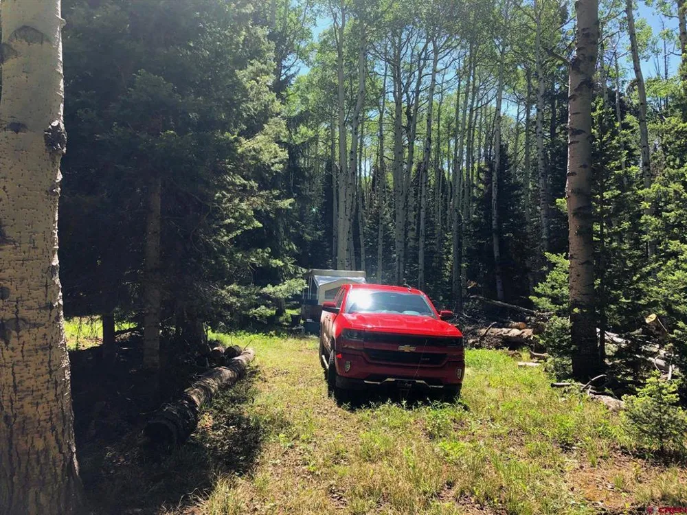185 Aspen Trail Cimarron, CO 81220