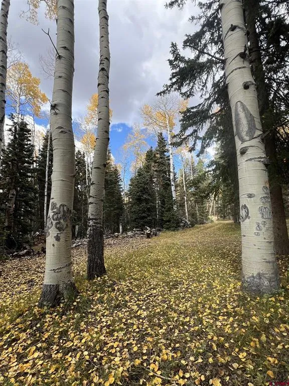 185 Aspen Trail Cimarron, CO 81220
