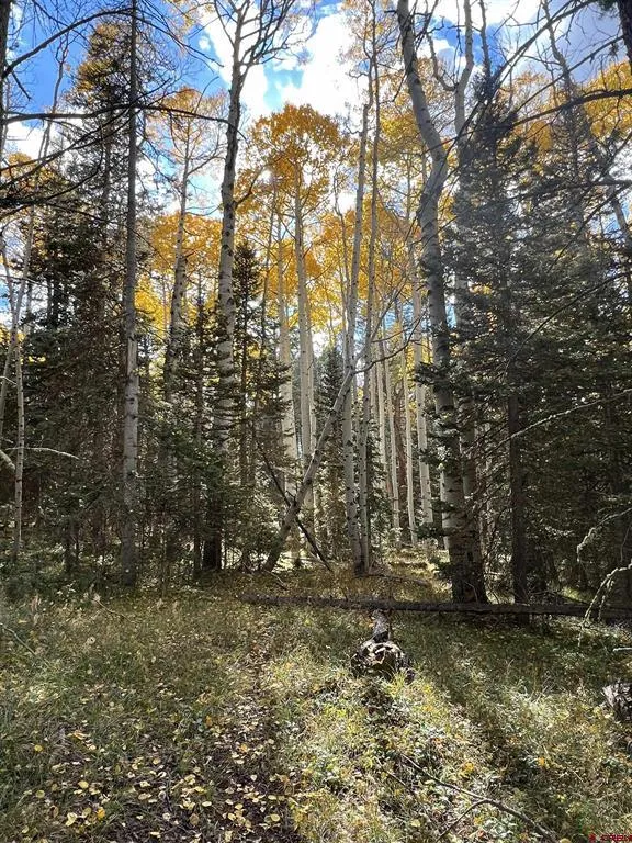 185 Aspen Trail Cimarron, CO 81220