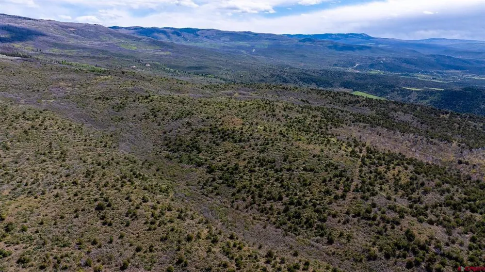 3 W Elk View Drive Cedaredge, CO 81413