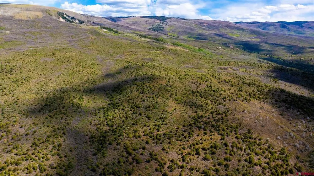 3 W Elk View Drive Cedaredge, CO 81413
