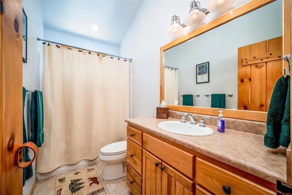 259 Ho Hum Drive Bayfield, CO 81122