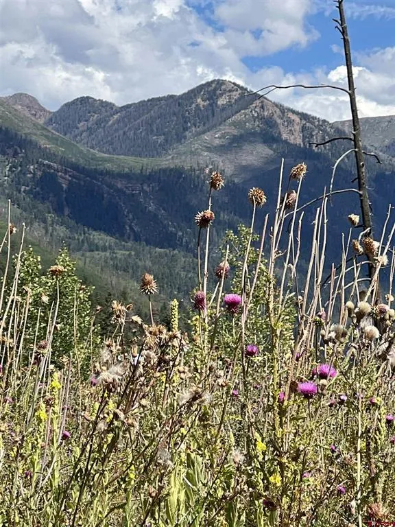 40 Freeman Creek Drive Bayfield, CO 81122