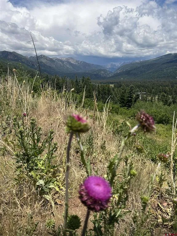 40 Freeman Creek Drive Bayfield, CO 81122