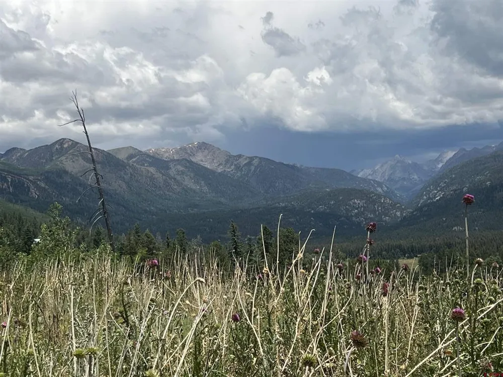 40 Freeman Creek Drive Bayfield, CO 81122