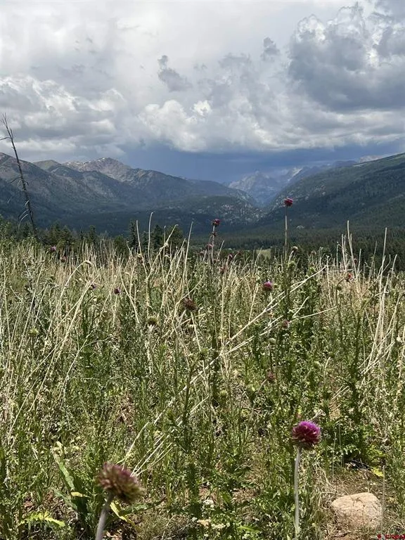 40 Freeman Creek Drive Bayfield, CO 81122