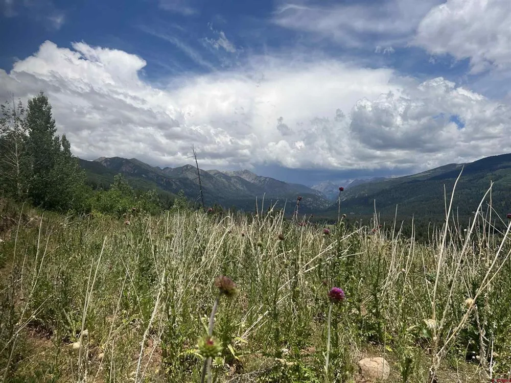 40 Freeman Creek Drive Bayfield, CO 81122