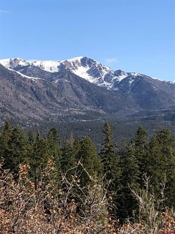 40 Freeman Creek Drive Bayfield, CO 81122