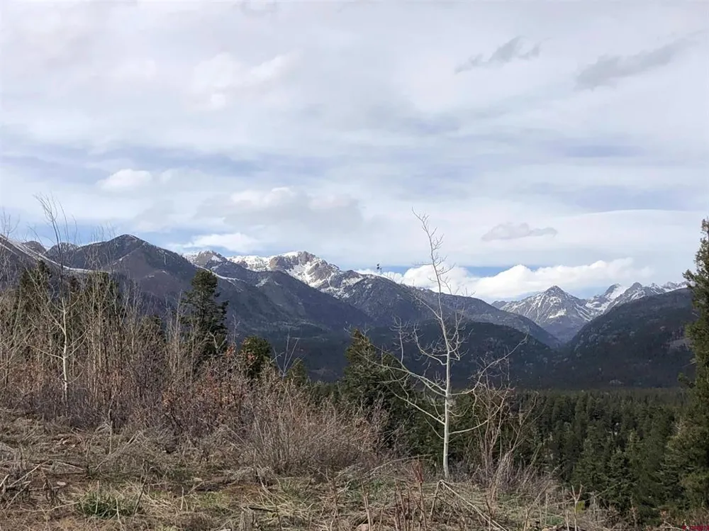 40 Freeman Creek Drive Bayfield, CO 81122