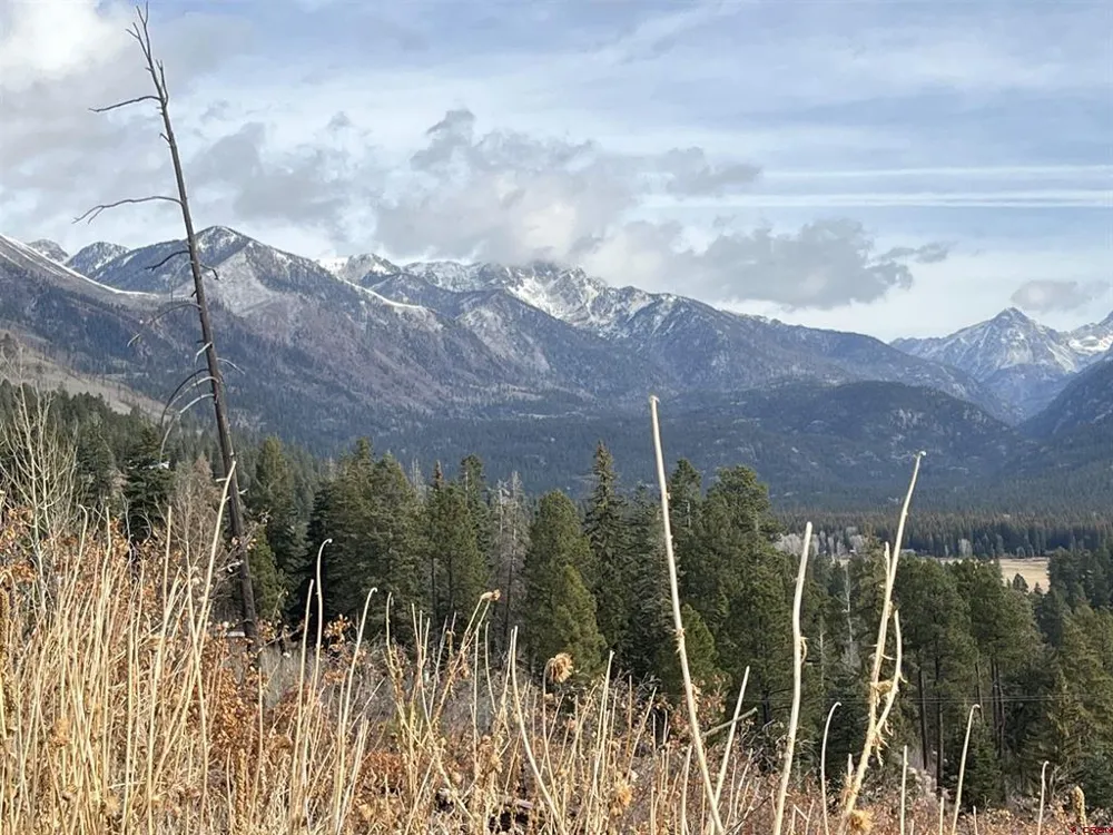 40 Freeman Creek Drive Bayfield, CO 81122