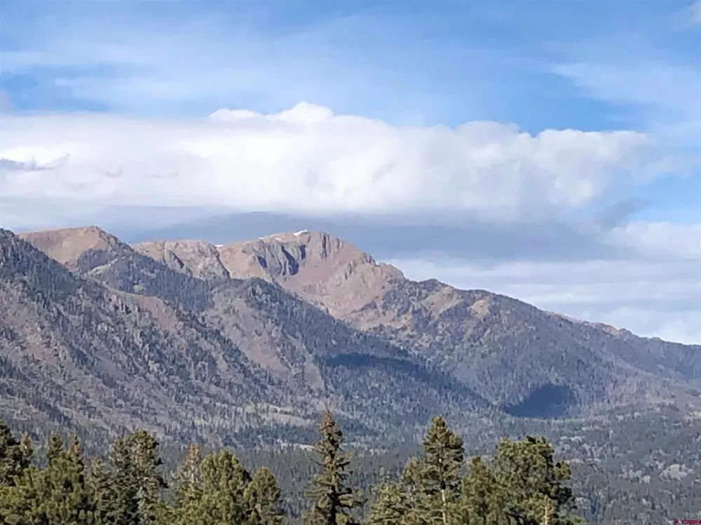 40 Freeman Creek Drive Bayfield, CO 81122