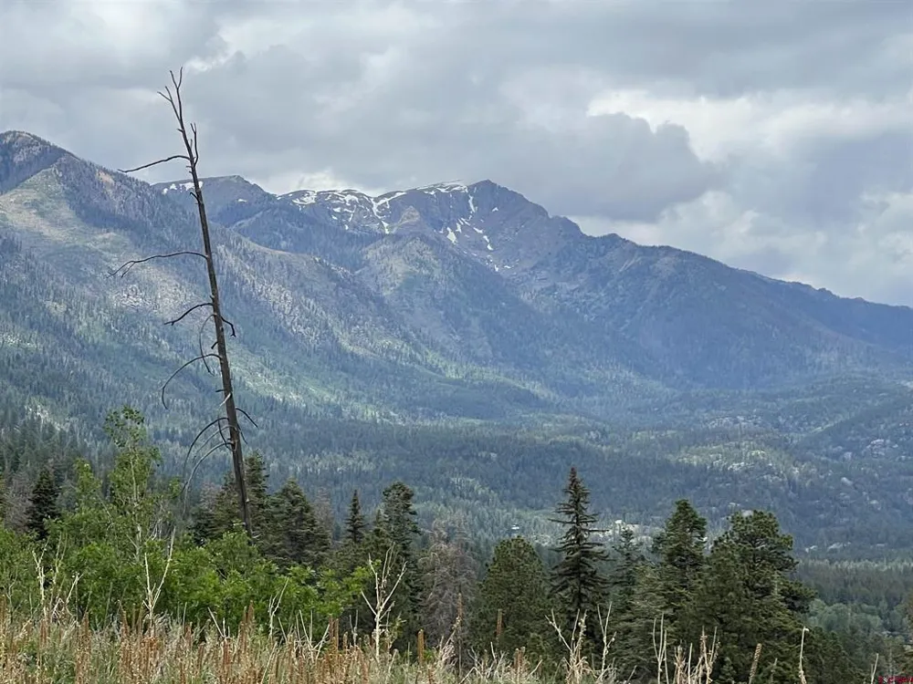 40 Freeman Creek Drive Bayfield, CO 81122