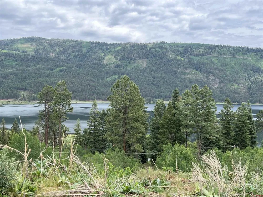 40 Freeman Creek Drive Bayfield, CO 81122