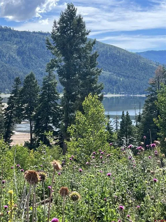 40 Freeman Creek Drive Bayfield, CO 81122