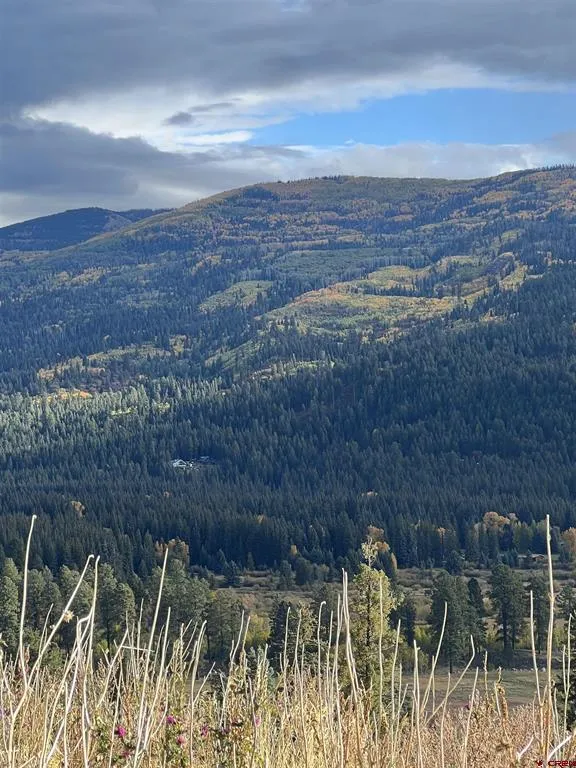 40 Freeman Creek Drive Bayfield, CO 81122