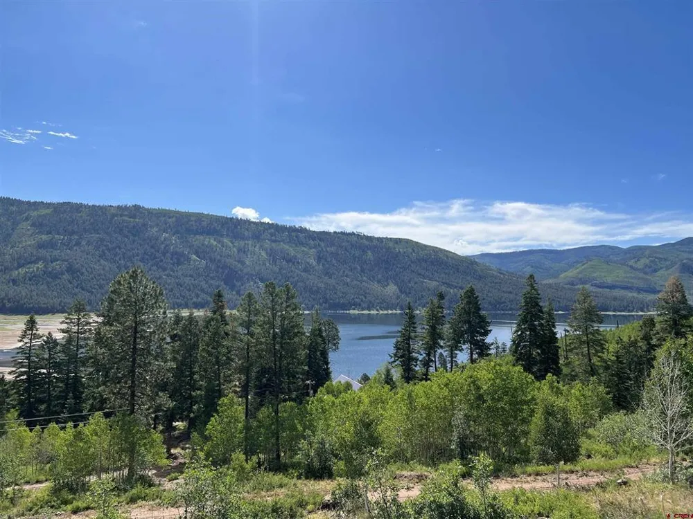 40 Freeman Creek Drive Bayfield, CO 81122