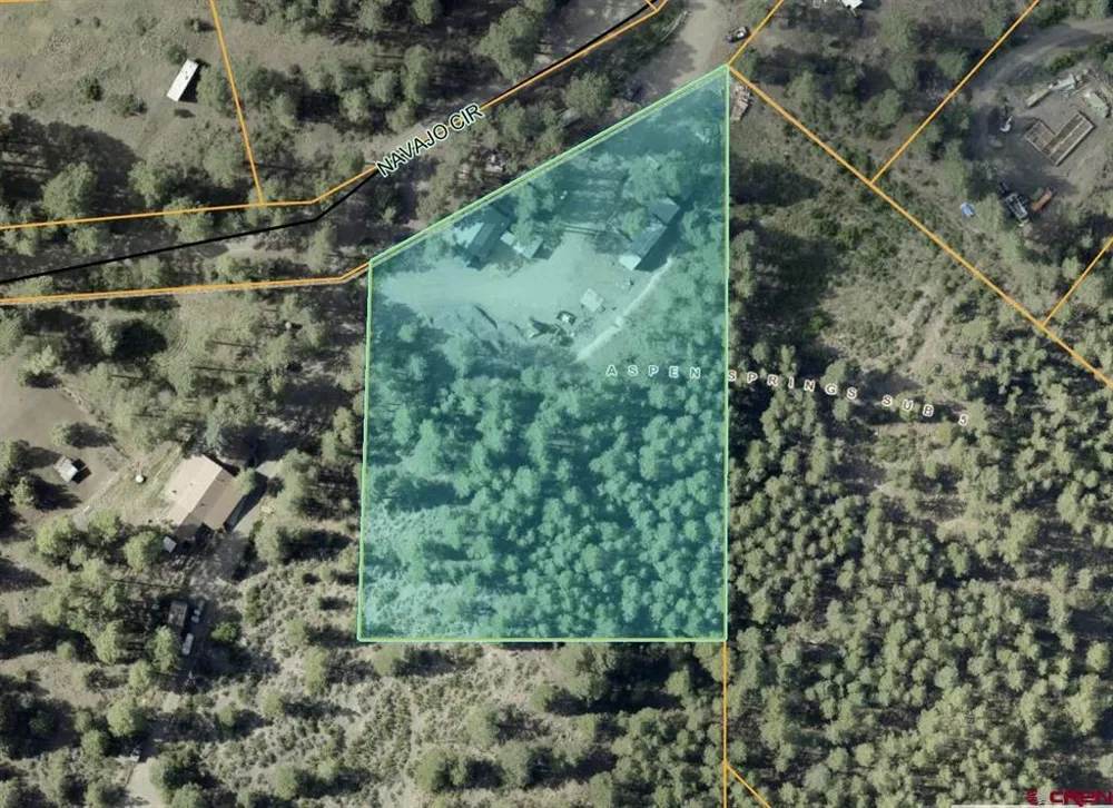 145 Navajo Circle Pagosa Springs, CO 81147