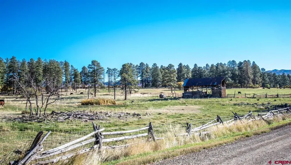 43393 Road M Mancos, CO 81328