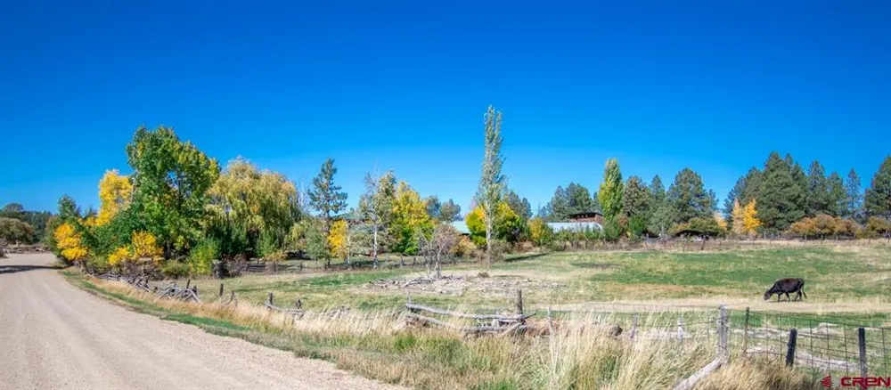 43393 Road M Mancos, CO 81328