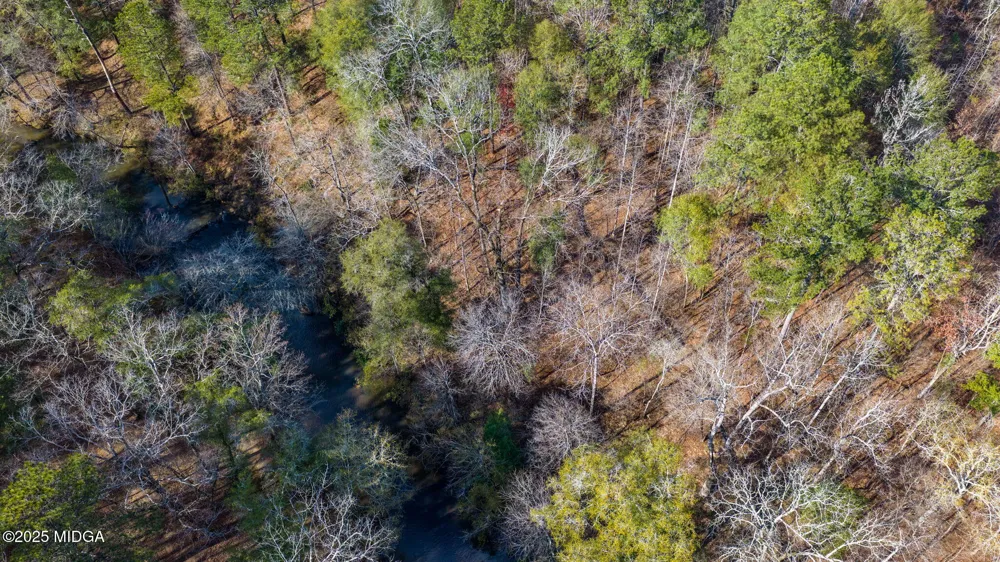 103 Ranch Court Forsyth, GA 31029
