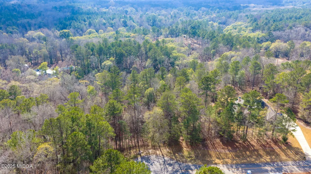 103 Ranch Court Forsyth, GA 31029