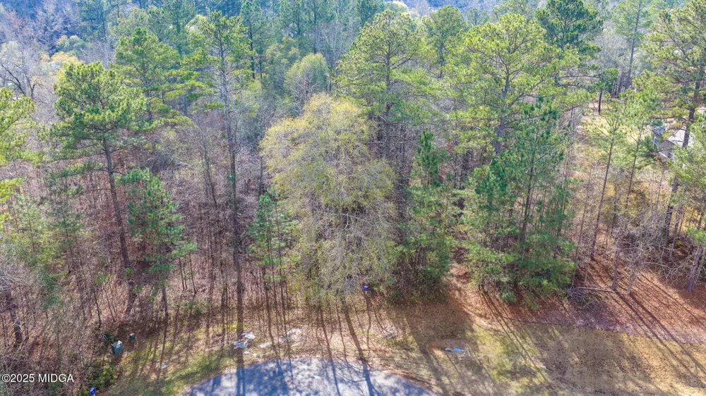 103 Ranch Court Forsyth, GA 31029