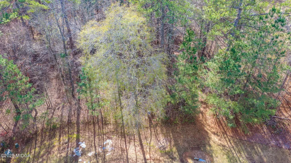 103 Ranch Court Forsyth, GA 31029