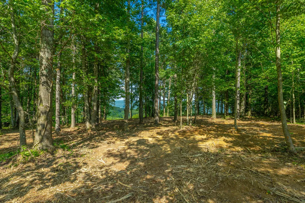 High Ground Road Guild, TN 37340