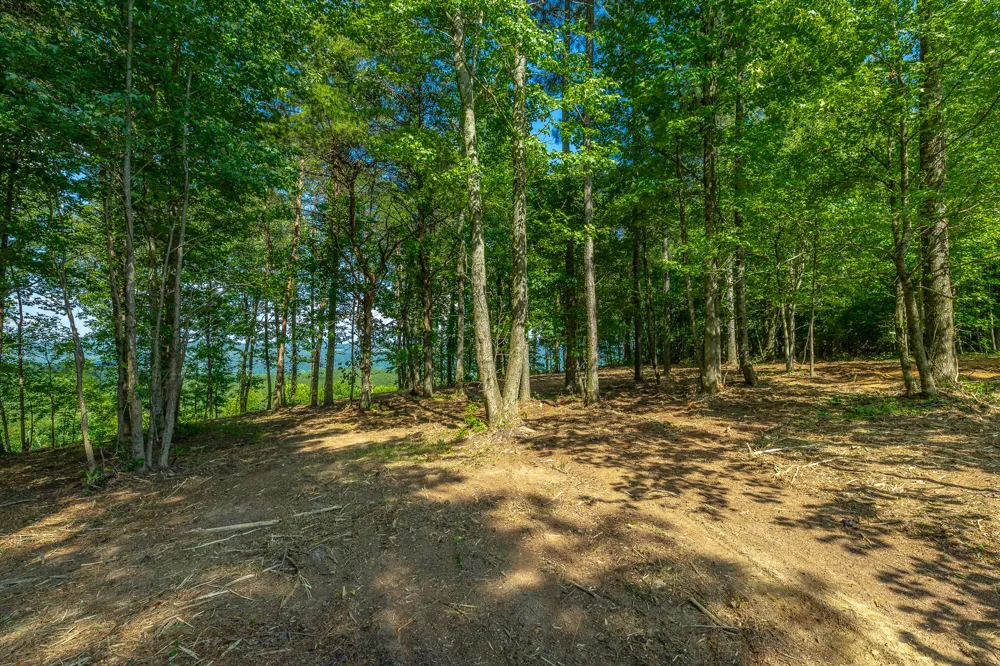 High Ground Road Guild, TN 37340