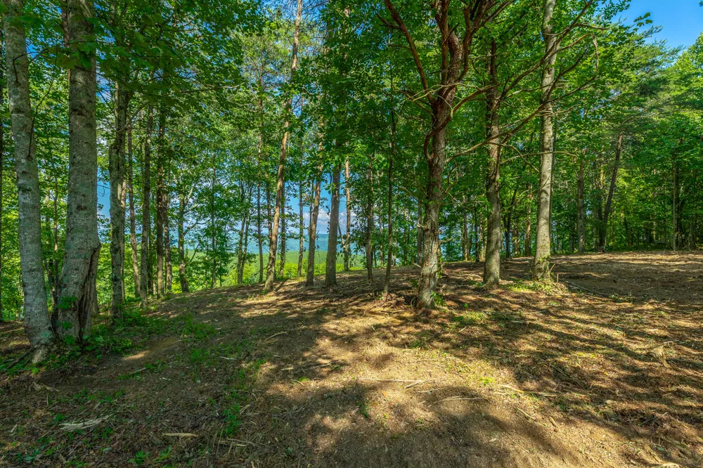 High Ground Road Guild, TN 37340