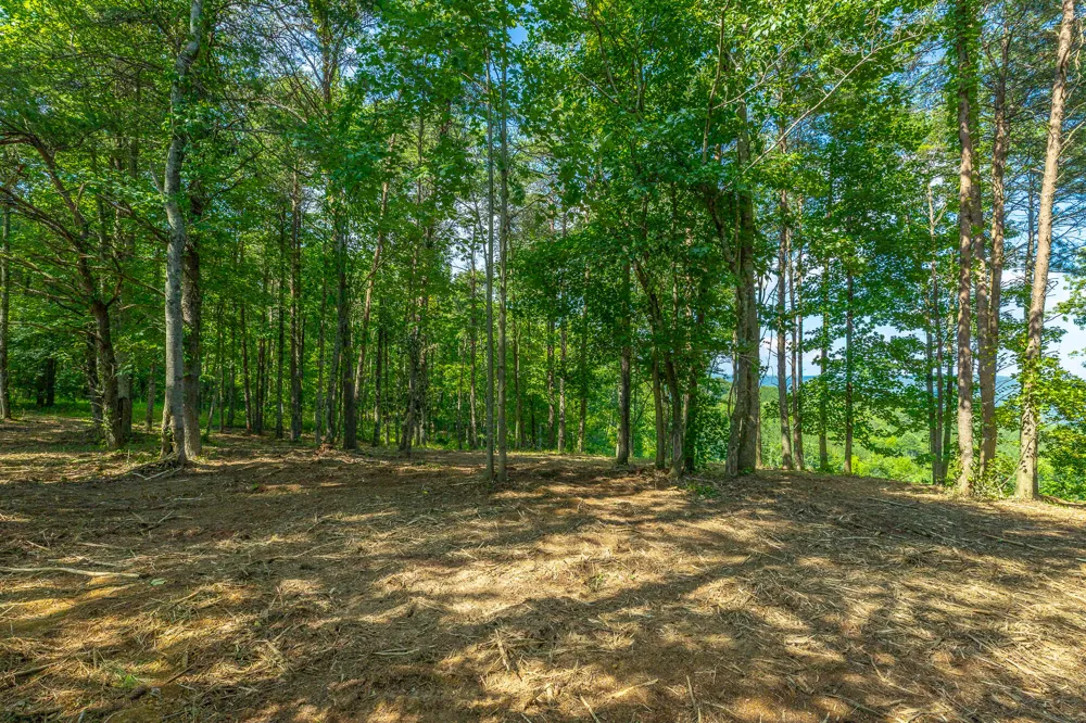High Ground Road Guild, TN 37340