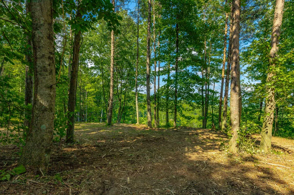 High Ground Road Guild, TN 37340