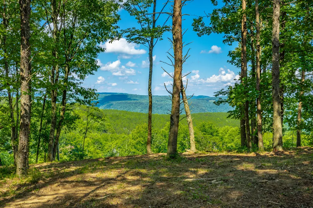 High Ground Road Guild, TN 37340