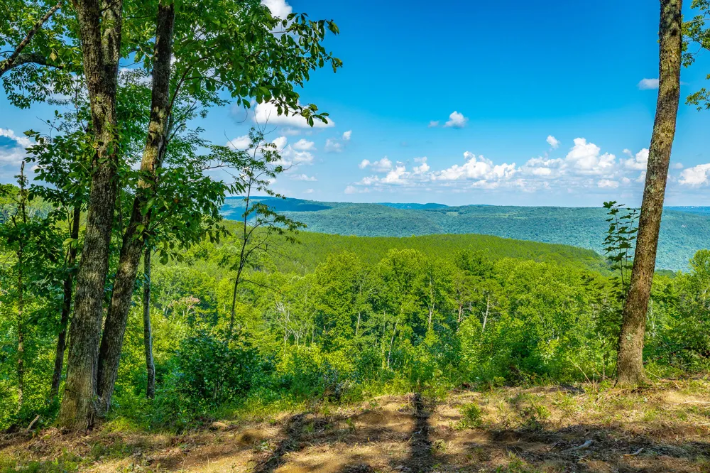 High Ground Road Guild, TN 37340
