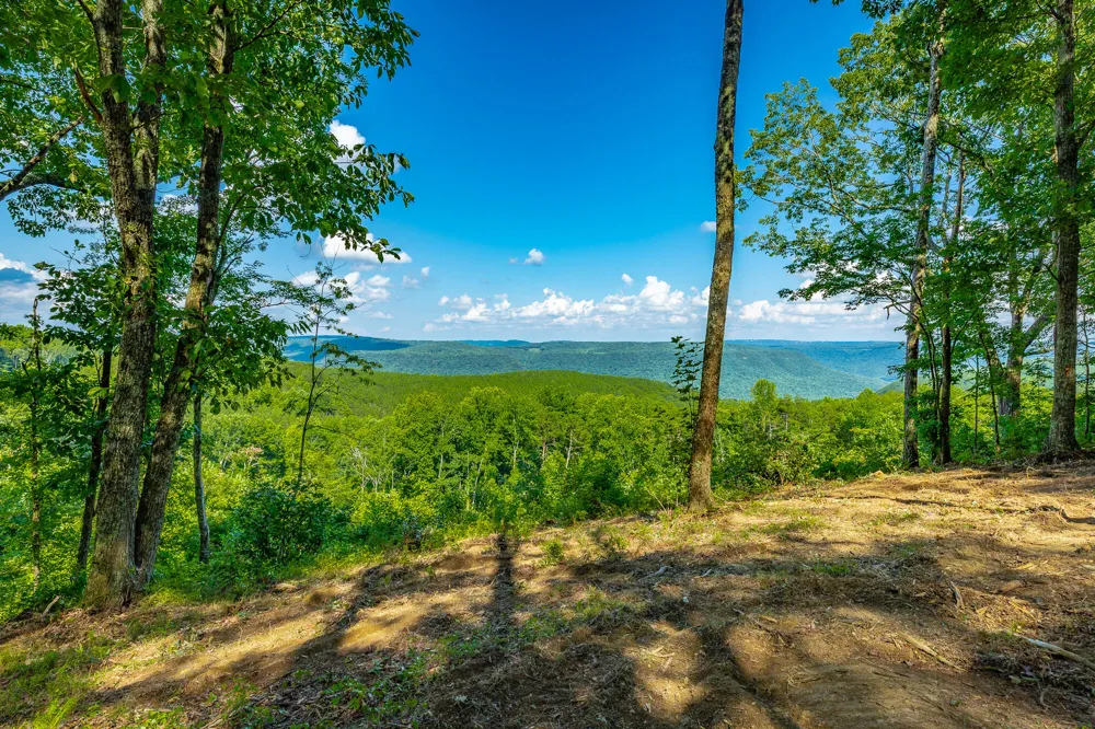 High Ground Road Guild, TN 37340