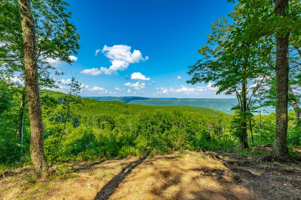 High Ground Road Guild, TN 37340