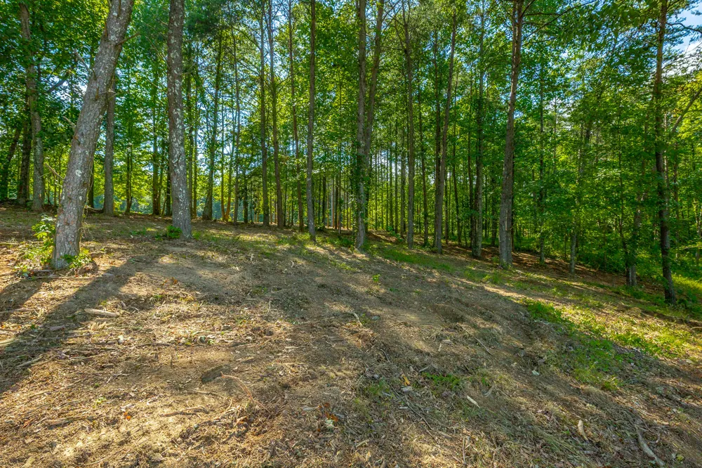 High Ground Road Guild, TN 37340
