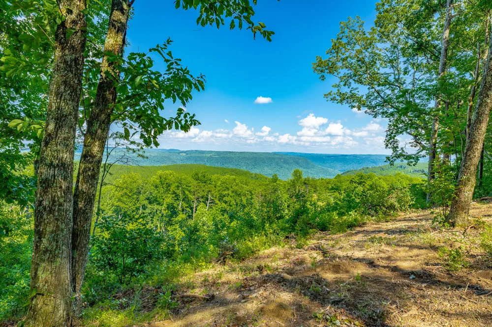 High Ground Road Guild, TN 37340