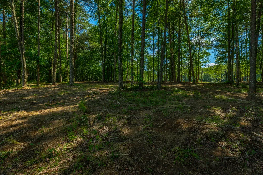 High Ground Road Guild, TN 37340