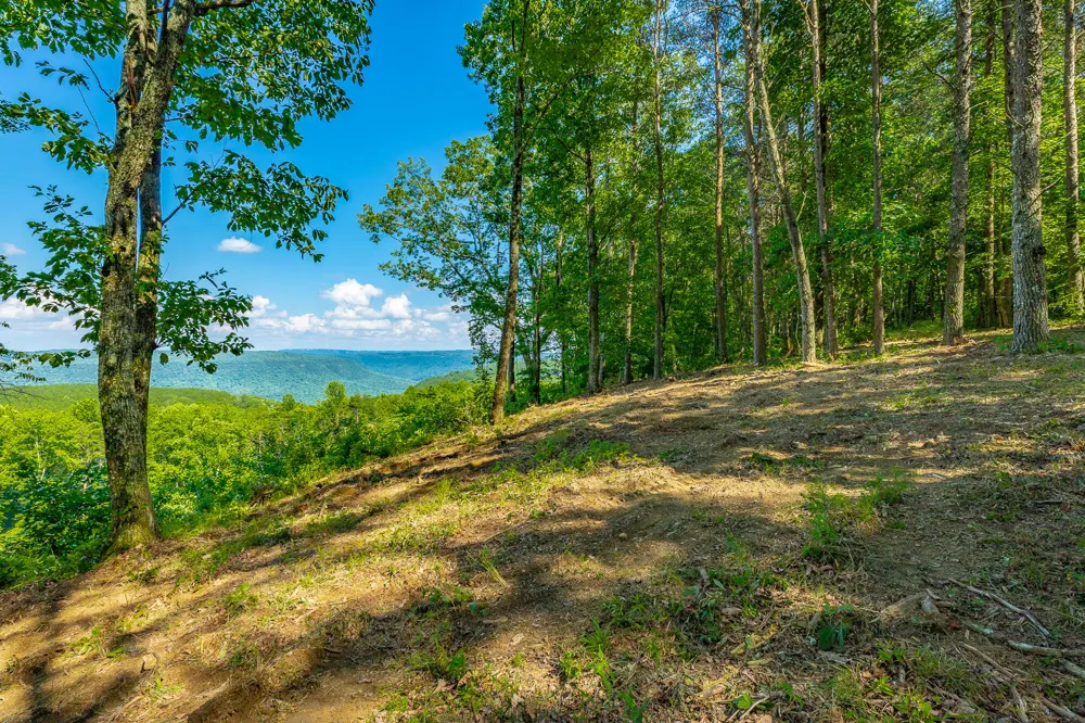 High Ground Road Guild, TN 37340
