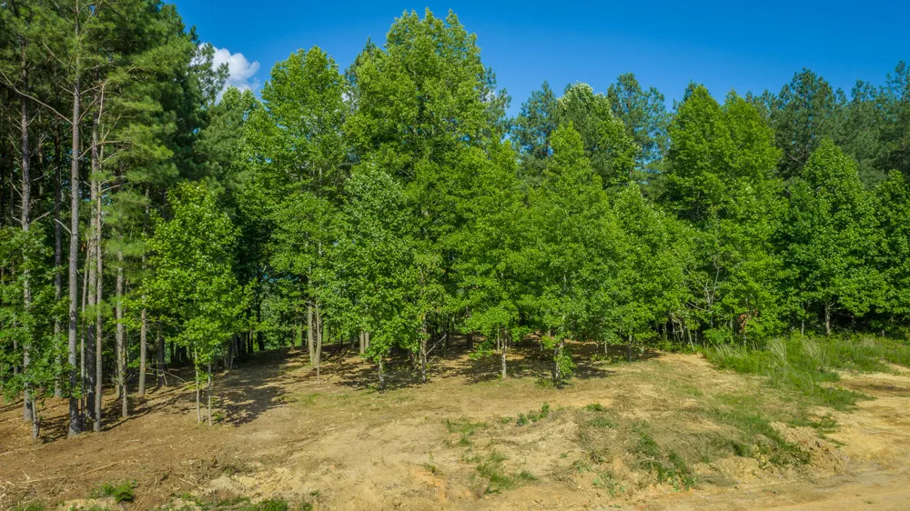 High Ground Road Guild, TN 37340