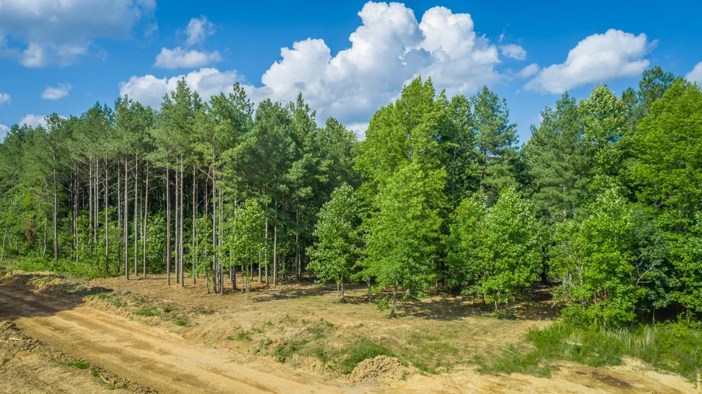 High Ground Road Guild, TN 37340