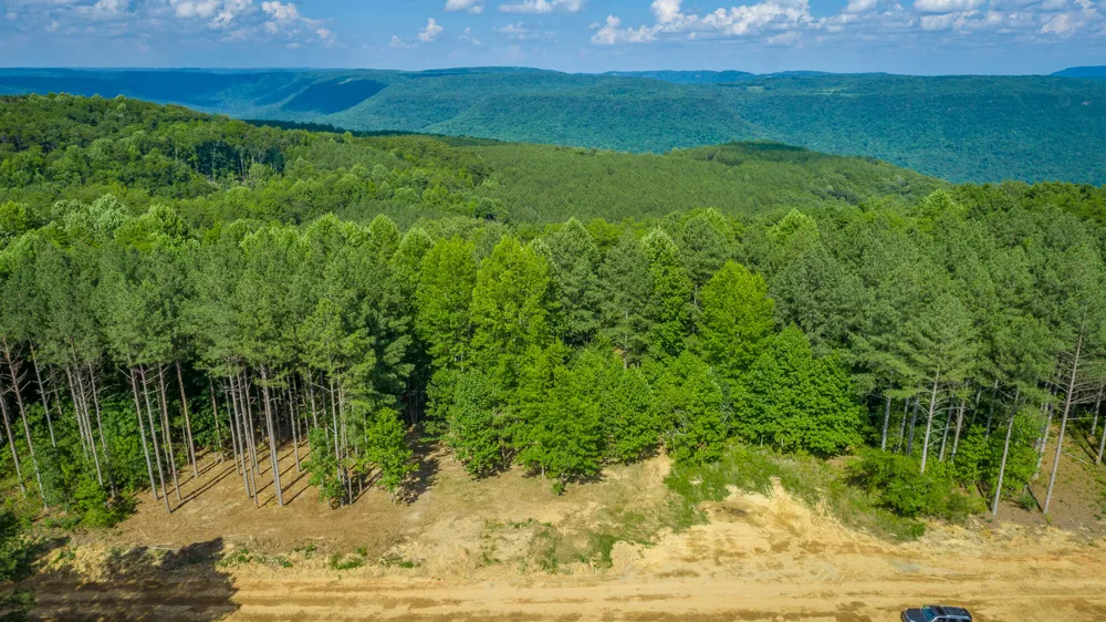 High Ground Road Guild, TN 37340