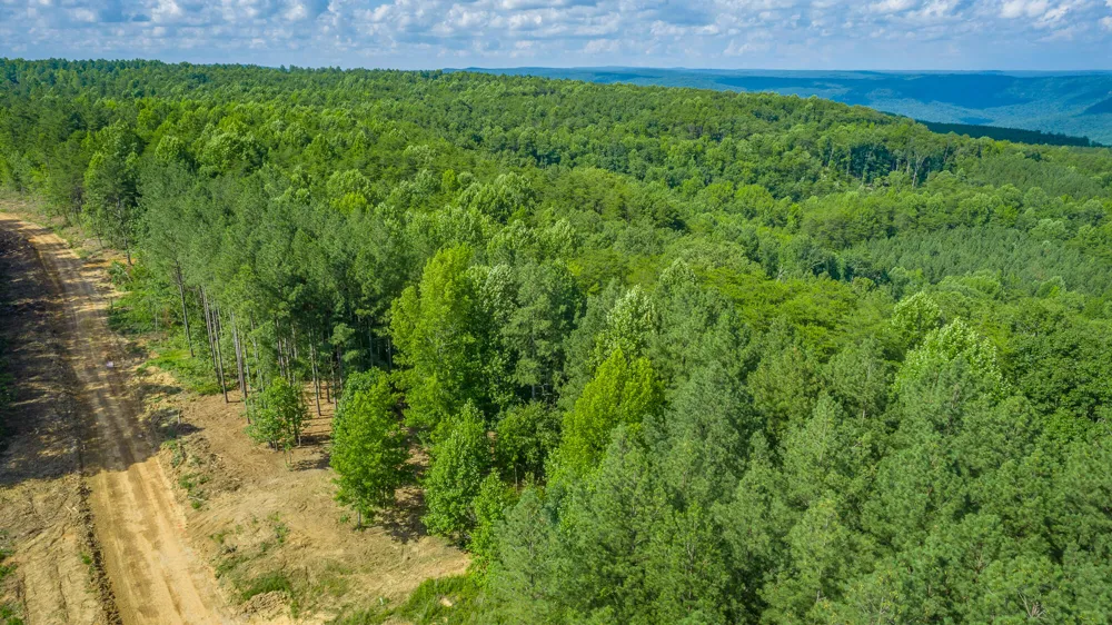 High Ground Road Guild, TN 37340