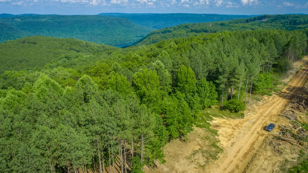 High Ground Road Guild, TN 37340