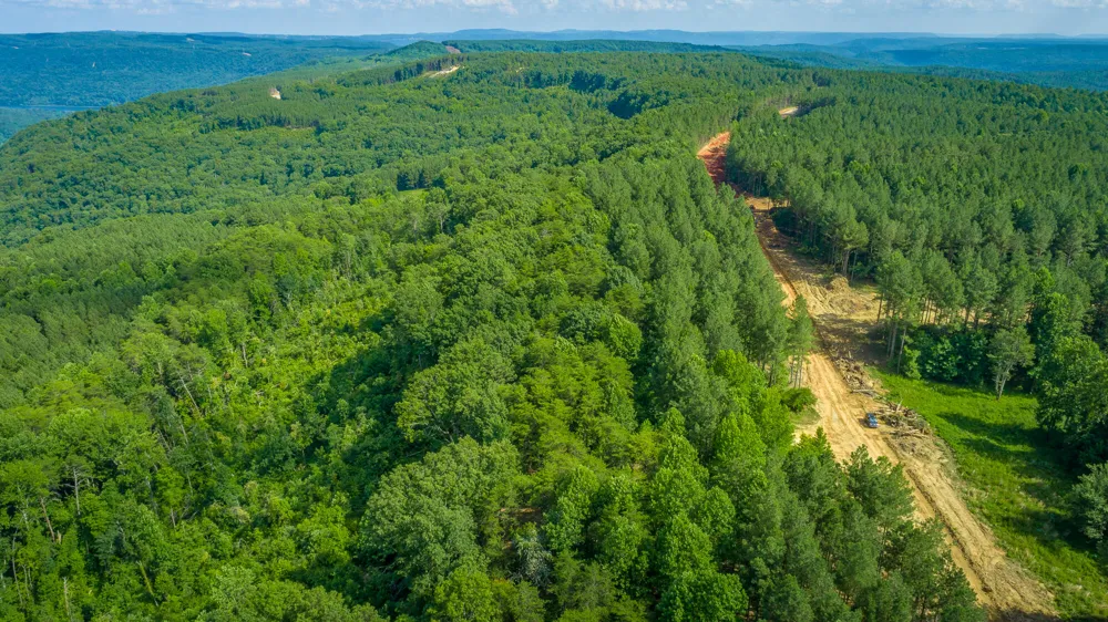 High Ground Road Guild, TN 37340