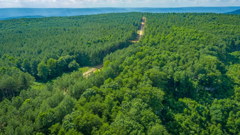 High Ground Road Guild, TN 37340