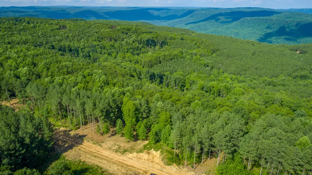 High Ground Road Guild, TN 37340